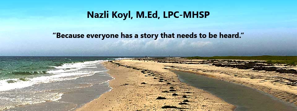 Banner image of a beach with ocean view.